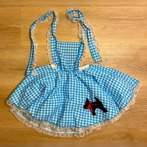 Dorothy costume